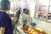 Ăn nấm lạ mọc trong vườn, 3 trẻ em nhập viện