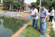 Hiện thực hóa “mục tiêu kép”, Ngân hàng Chính sách xã hội Đà Nẵng giúp người dân khôi phục sản xuất