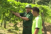 Nông thôn Tây Bắc: Giảm nghèo ở xã biên giới Lóng Sập