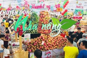 Chuyển động Nhà nông 04/01: Siêu thị vào cuộc hỗ trợ nông dân Bình Thuận, Long An tiêu thụ thanh long