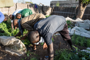 Video: Hồi sinh ngành nông nghiệp ở Senegal