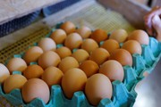 Giá trứng tăng cao buộc ngành công nghiệp thực phẩm Pháp phải thay đổi công thức nấu ăn