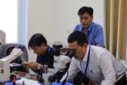 Tập huấn phòng trừ sinh vật gây hại trên cây có múi cho cán bộ 6 tỉnh Bắc Trung bộ