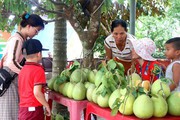 Quảng Nam: Nông Sơn phát triển sản phẩm OCOP theo chuỗi giá trị