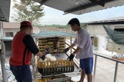 Một loại gà đang nuôi nhiều ở Đồng Nai bất ngờ giảm 5.000 đồng/kg, miền Bắc lại tăng
