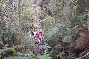 Chi trả dịch vụ môi trường rừng: Lợi đơn lợi kép ở xã vùng cao Lai Châu