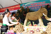 Hỗ trợ nông dân xây dựng thương hiệu, tiêu thụ sản phẩm