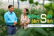 NÔNG SẢN LÊN SÀN: Gặp gỡ tỷ phú rau xanh Lâm Đồng - Phạm Ngọc Thạch 