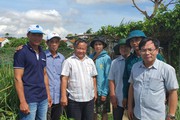 Hỗ trợ hiệu quả hoạt động dạy nghề cho nông dân tại Phú Yên
