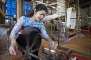 Áp dụng kinh nghiệm làm ăn, kỹ thuật sản xuất mới, nông dân Hòa Bình tự tạo việc làm, tăng thu nhập