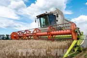 Ukraine dự báo sản lượng ngũ cốc có thể giảm 50% trong năm 2023