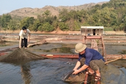 Sơn La: Nông dân vùng cao, thi đua sản xuất kinh doanh giỏi