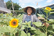 30 năm theo nghiệp trồng hoa, một bà nông dân Đà Nẵng lãi 300 triệu/năm, tạo việc làm cho 10 người
