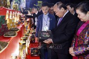 Quan tâm bảo tồn và quy hoạch phát triển Sâm Lai Châu để đồng bào thoát nghèo, vươn lên làm giàu