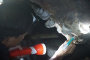 Trung Quốc mua đến 90% sản lượng tổ yến toàn cầu nhưng thích nhất tổ yến của Việt Nam