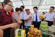 Quảng Nam: Đưa 300 sản phẩm OCOP gắn sao vào TP. Hồ Chí Minh quảng bá
 
