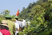 Quảng Bình: Ban Quản lý Rừng phòng hộ Quảng Ninh "nợ" tiền công thuê bảo vệ rừng của nông dân