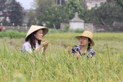 Hà Nội: Thu hút đầu tư, phát triển nông nghiệp hữu cơ