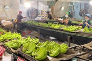 Trái cây Việt trước cơ hội vào thị trường tỉ dân