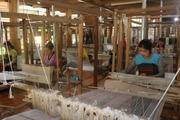 Đào tạo nghề cho nông dân ở Hòa Bình, các học viên được gắn lý thuyết với thực hành tại đồng ruộng, làng bản