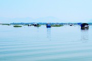 Hồ nước ngọt mang tên Biển Lạc nằm trọn trong rừng nguyên sinh, hồ này ở tỉnh nào của Việt Nam?
