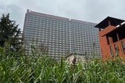 Trung Quốc: Xây chung cư cao 26 tầng cho lợn
