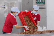 Thứ hạt được ví như "nữ hoàng quả khô" của Việt Nam sắp được bán ở 180 siêu thị của Nhật Bản
