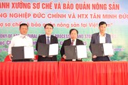 Hải Dương: 2 xưởng sơ chế, bảo quản cà rốt, rau, củ hơn 60 tỷ đồng đi vào hoạt động