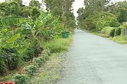 Nông thôn mới huyện Tam Bình của Vĩnh Long, tạo thói quen "gặp" thùng rác, tuyến đường hoa sạch đẹp tinh tươm