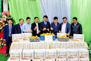 Ninh Bình: Giới thiệu đặc sản cam vàng Hà Giang tại cửa hàng nông sản an toàn