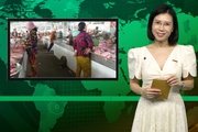 Bản tin Dân Việt Nóng ngày 12/12: Nghịch lý cận Tết, giá thịt lợn giảm từ chuồng đến chợ