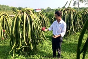 Agribank đẩy mạnh mô hình tổ vay vốn, giúp nông dân phát triển kinh tế, diện mạo nông thôn ngày càng khởi sắc