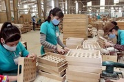 Ngành gỗ Việt Nam đối diện như thế nào trước các vụ kiện phòng vệ thương mại?