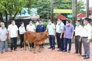 Hội Nông dân huyện Quế Võ giữ vững danh hiệu đơn vị dẫn đầu phong trào thi đua toàn tỉnh Bắc Ninh