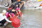 Đây là dòng sông ở Đồng Tháp vừa "đón nhận" 3 tấn cá các loại được thả về tự nhiên