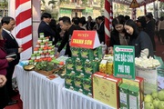 Hội Nông dân tỉnh Phú Thọ giúp tiêu thụ hơn 100 tấn nông sản cho hội viên, nông dân