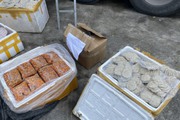 TT-Huế: Phát hiện hàng trăm thùng thực phẩm “bẩn” trên xe đầu kéo 