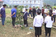 Đẩy mạnh đào tạo nghề cho lao động nông thôn ở Sơn La