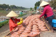 Giá khô cá ở Long An tăng mạnh, loại khô cá nào bán đắt nhất?