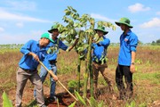 Đắk Lắk: Bồi dưỡng nghiệp vụ công tác xây dựng nông thôn mới cho đoàn viên thanh niên