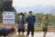 Hội Nông dân tỉnh Sơn La cầm tay chỉ việc giúp nông dân nâng cao thu nhập