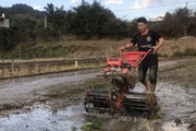 Nước lấy vào đồng, máy cày chạy ầm ầm, nông dân Sơn La tranh thủ trời ấm làm đất, chăm cây
