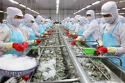 Mỹ và EU mua nhiều nhất, mặt hàng thủy sản này của Việt Nam đặt mục tiêu thu về 4 tỷ USD
