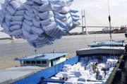 Xung đột Nga - Ukraine có thể đẩy giá gạo xuất khẩu tăng