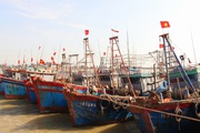 Thanh Hóa: Giá xăng dầu lên đỉnh, tàu cá la liệt nằm bờ