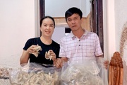 Gia Lai: Giá tổ "chim tiền tỷ" tăng cao, cảnh báo mua phải hàng trôi nổi, tẩm thêm đường, trộn cả mủ trôm