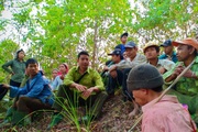 Lai Châu: Hạt Kiểm lâm Nậm Nhùn làm tốt công tác bảo vệ rừng