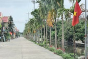 Đây là loại cây cảnh trồng bên con đường hoa xã nông thôn mới ở Ninh Bình khiến dân tình trầm trồ