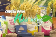 Chuyển động Nhà nông 29/4: Hạt gạo Việt Nam tạo đột phá mới