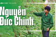 Con đường gian nan của tiến sĩ du học bên Nhật bỏ việc về làm nông dân, trồng rau sạch